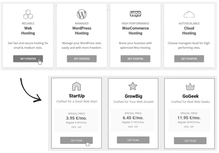 Web hosting options